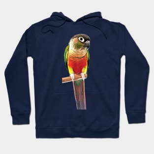 Green Cheek Conure Parrot Bird design, Love for birds Hoodie